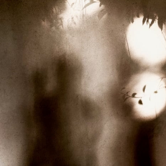 OCTOBER MARKS THE MONTH OF METTLER:  A TIFF RETROSPECTIVE, BOOK LAUNCH, AND PERFORMANCE AT MULTIFEST